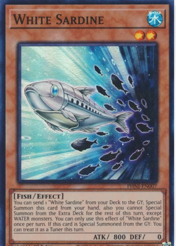 Sardina - PHNI-SP007 - Blanca (Español)