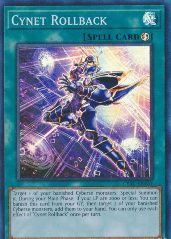 Cynet Rollback - CYAC-SP051 - (Español)