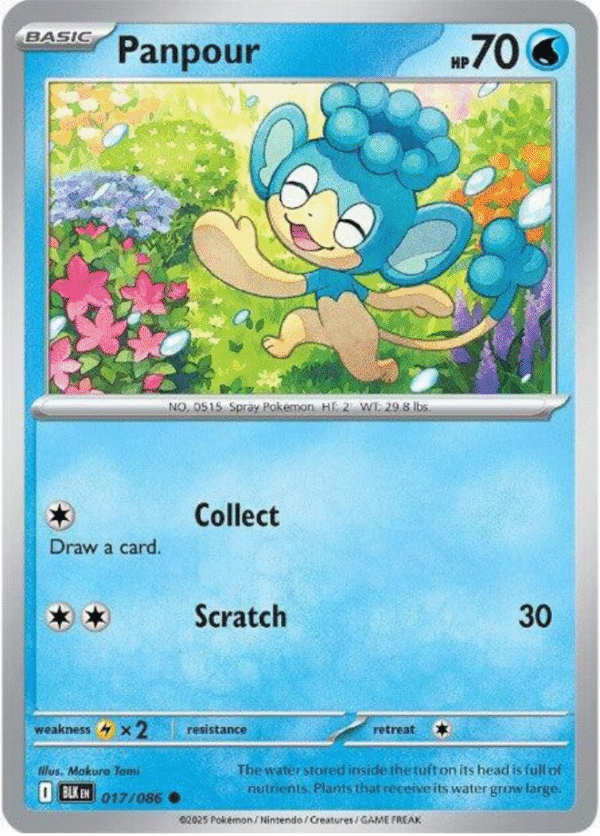 Panpour - 017/086 / Common - SV: Black Bolt (BLK)